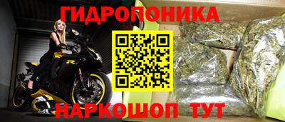 прущие грибы Майкоп
