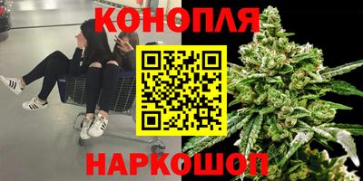 прущие грибы Майкоп