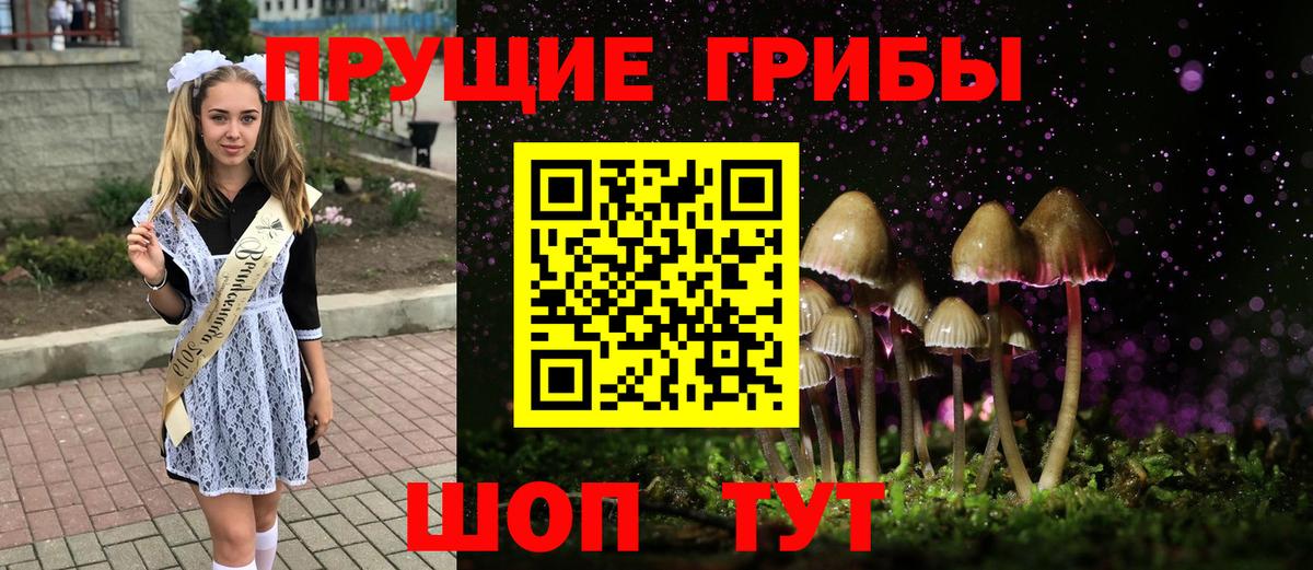 Галлюциногенные грибы Psilocybine cubensis  Вход с VPN  Ейск 
